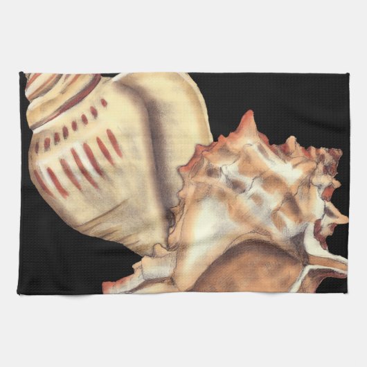 芸術的貝殻 キッチンタオル (横)