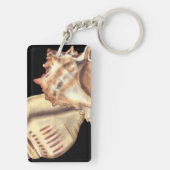芸術的貝殻 キーホルダー (裏面)
