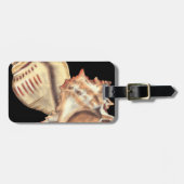 芸術的貝殻 ラゲッジタグ (正面横)