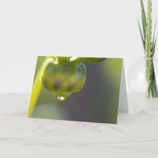 芽および低下の挨拶状 カード (正面)