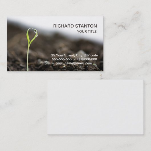 芽が出ている 名刺 (正面/裏面)