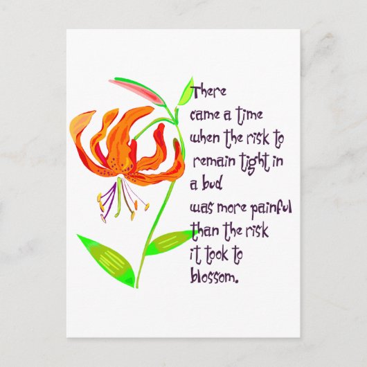 芽が出る ポストカード (正面)