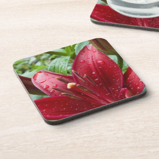 芽のある赤いアジアのユリ コースター (左側)