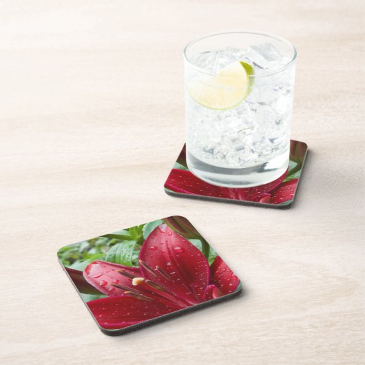 芽のある赤いアジアのユリ コースター (右側)