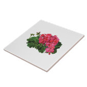 芽のある赤いゲラニウム タイル (側面)