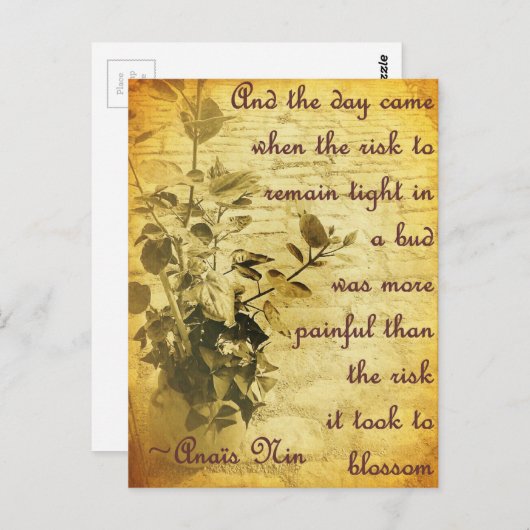 芽の中で堅く残る ポストカード (正面/裏面)