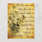 芽の中で堅く残る ポストカード (正面)