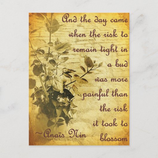 芽の中で堅く残る ポストカード (正面)