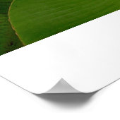 芽を出す ポスター (角)