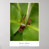 芽を出す ポスター (正面)