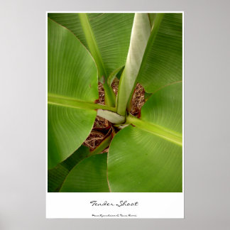芽を出す ポスター