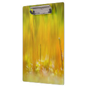 芽カラフル出 クリップボード (左)