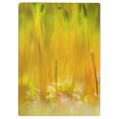 芽カラフル出 クリップボード (裏面)