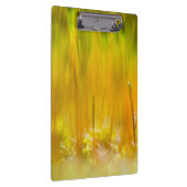 芽カラフル出 クリップボード (右)