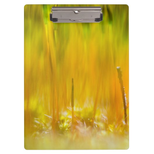芽カラフル出 クリップボード (正面)