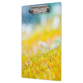 芽カラフル出 クリップボード (左)