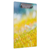 芽カラフル出 クリップボード (右)