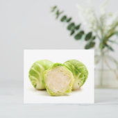 芽キャベツ ポストカード (スタンド正面)