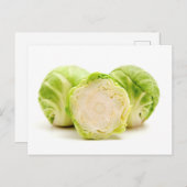 芽キャベツ ポストカード (正面/裏面)