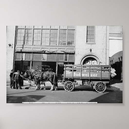 芽分娩 ポスター (正面)