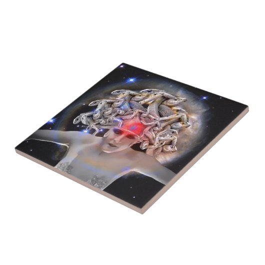 芽都佐 タイル (側面)