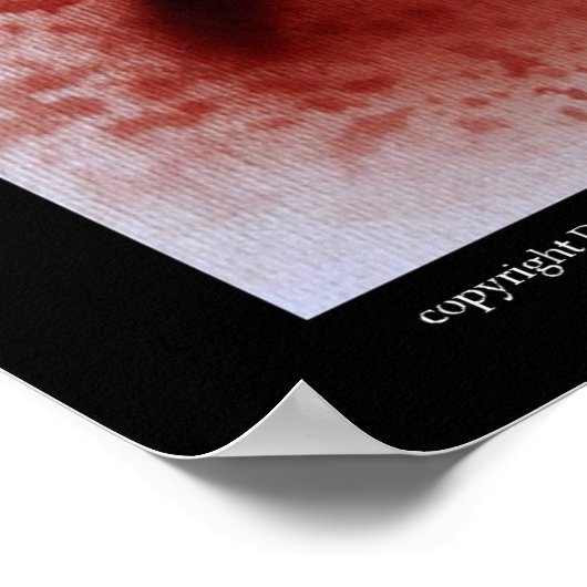 芽都佐 ポスター (角)