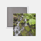 苔が岩を水やシダぼやけで覆った マグネット (正面/裏面)