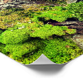 苔と樹皮の自然撮影ポスター ポスター (角)