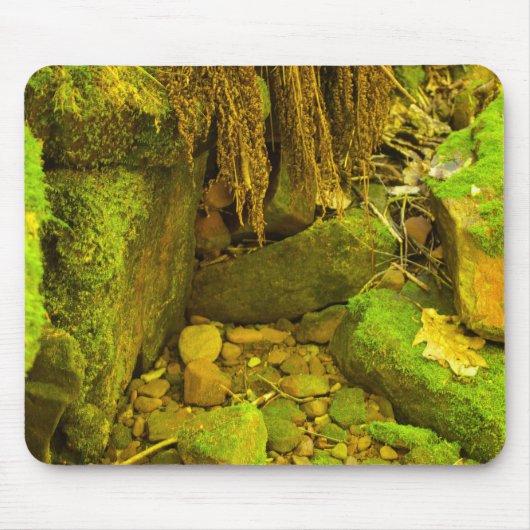 苔と石 – ハンガリーの滝、ミシガン州アッパー半島 マウスパッド (正面)