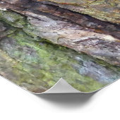 苔に覆われた木の樹皮 ポスター (角)