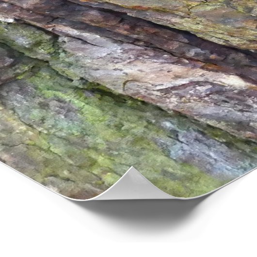 苔に覆われた木の樹皮 ポスター (角)