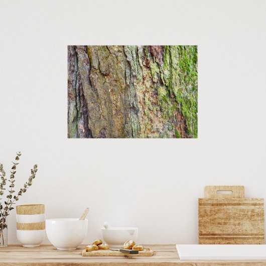 苔に覆われた木の樹皮 ポスター (キッチン)