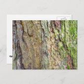 苔に覆われた木の樹皮 ポストカード (正面/裏面)