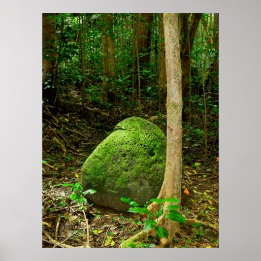 苔に覆われた石 ポスター (正面)