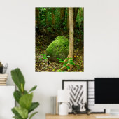 苔に覆われた石 ポスター (ホームオフィス)