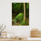 苔に覆われた石 ポスター (キッチン)