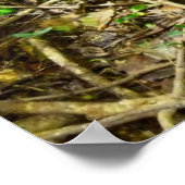 苔に覆われた石 ポスター (角)