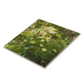 「苔の中の金ゴールドに対するレプレショーーンのポット!」 タイル (側面)