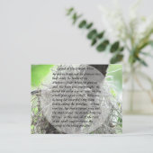 苔の伝説スペインの ポストカード (スタンド正面)