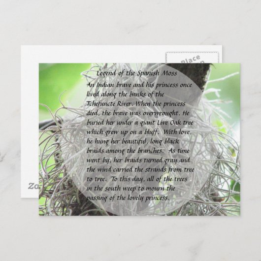 苔の伝説スペインの ポストカード (正面/裏面)