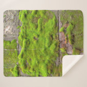 苔の壁の緑の岩のテクスチャ シェルパブランケット (正面(横))