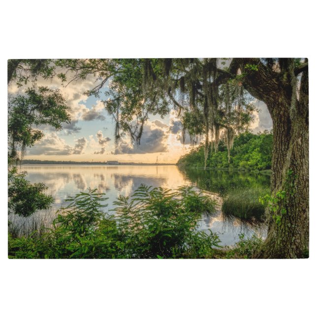 苔の間の日の出 メタルプリント (正面)