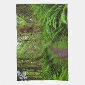 苔むしたカエデの林の小道、シダと苔 キッチンタオル (縦)