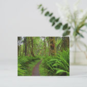 苔むしたカエデの林の小道、シダと苔 ポストカード (スタンド正面)