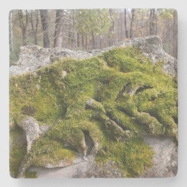 苔むした壊れた墓石 ストーンコースター