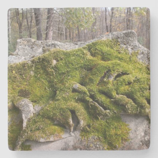 苔むした壊れた墓石 ストーンコースター (正面)
