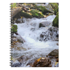苔むした岩と流れる森の小川 ノートブック