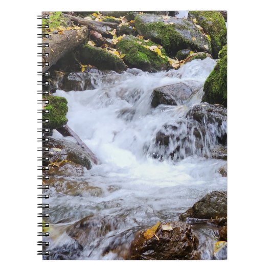 苔むした岩と流れる森の小川 ノートブック (正面)