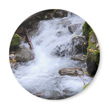 苔むした岩と流れる森の小川