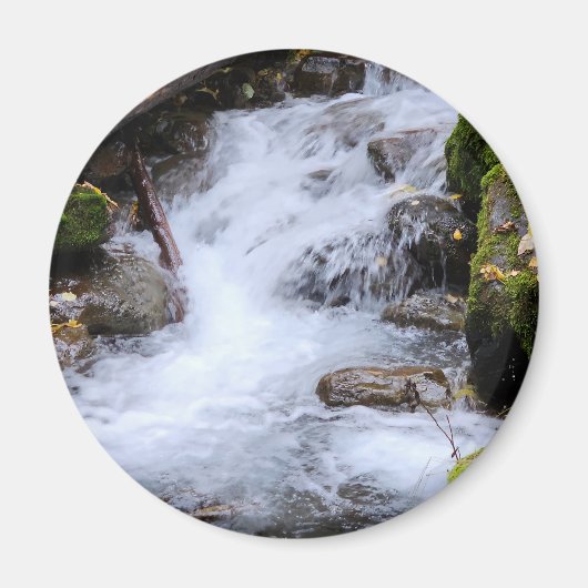 苔むした岩と流れる森の小川 マグネット (正面)